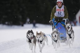 Lenzerheide 2013